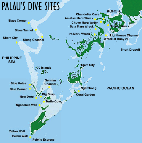 Dive Log Palau
